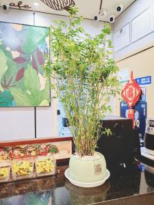 怡莱酒店(南京中山陵风景区南理工店)的休息区