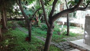 a path through a garden with trees and grass at B & B La Magnolia in Specchiolla