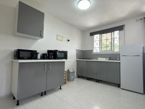 Kuchyň nebo kuchyňský kout v ubytování Villa Campêche + 21 fotografií