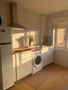 a kitchen with a sink and a washing machine at Dana Alojamiento in Suances