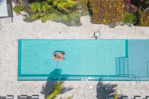 Basen w obiekcie Dolphin Suites & Wellness Curacao lub w pobliżu