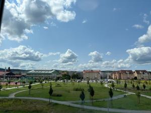 a park with trees and buildings in a city at Studio Green in Świebodzice +1 photo