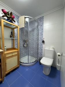 a bathroom with a shower and a toilet in it at Avanza 4 Plaza Galicia in Sarria