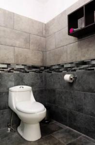 a bathroom with a white toilet in a room at Runway Retreat Apartment in Desamparados