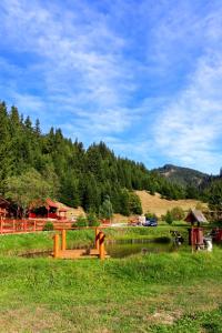 a bridge over a body of water in a field at Cabană în inima munților - Gálkuti Kulcsosház in Bălan