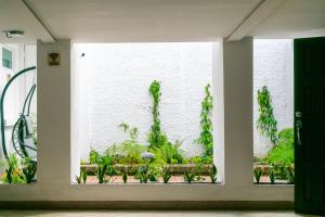 Taman di luar Charming and Efficient First Level Family Apt 5