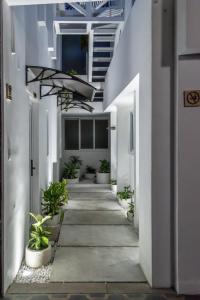 Gambar di galeri bagi Charming and Efficient First Level Family Apt 5 di Guatemala