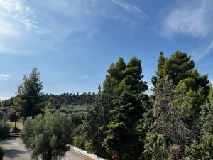 Φωτογραφία από το άλμπουμ του Paradise στην Κρυοπηγή