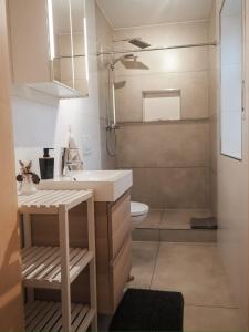 a bathroom with a sink and a toilet at Ferienwohnung in Ruppichteroth Winterscheid im EG mit Garten und Klima in Ruppichteroth +20 photos