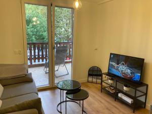 安锡Appartement ALBIGNY Centre Lac Annecy的配有沙发和平板电视的客厅
