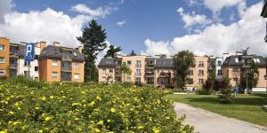 a row of apartment buildings in a park with yellow flowers at Witkowska-nocleg in Wrocław