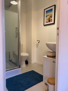 ein Badezimmer mit Dusche, Toilette und Waschbecken in der Unterkunft Appartement proche Centre-ville- Fibre in Saint Lo