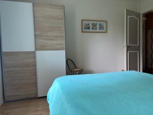 a bedroom with a blue bed and a sliding door at Beau T2 meublé récent in Bouliac
