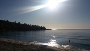 een persoon in het water op het strand bij Nice and cozy apartment in Àrbatax