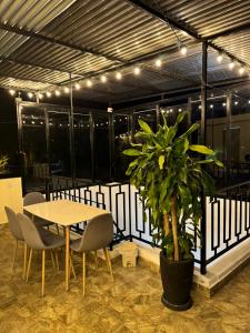 a table and chairs and a potted plant in a room at Habitaciones tipo hotel con terraza in Ibagué