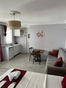 a living room with a couch and a table at Taksim Rain Suite in Istanbul