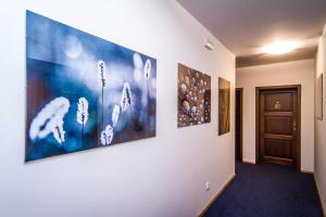 Imagen de la galería de Hotel Jizerka 4, en Jizerka