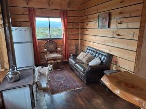 Posezení v ubytování Cabaña en Cucao a pies del lago