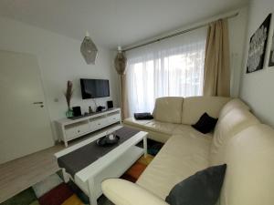 TV a/nebo společenská místnost v ubytování Ballenstedt Gartenblick