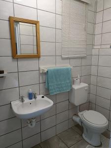 a bathroom with a toilet and a sink and a mirror at Chameleon in Kirkwood