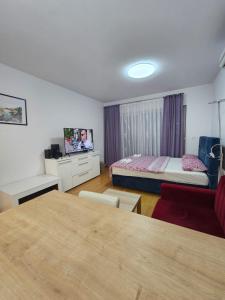 Televízia a/alebo spoločenská miestnosť v ubytovaní ABA1 apartman