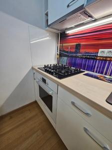 Kuchyňa alebo kuchynka v ubytovaní ABA1 apartman