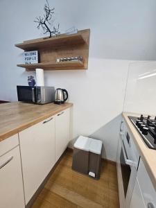 Kuchyňa alebo kuchynka v ubytovaní ABA1 apartman
