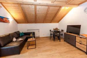 TV a/nebo společenská místnost v ubytování Apartment Obkircher