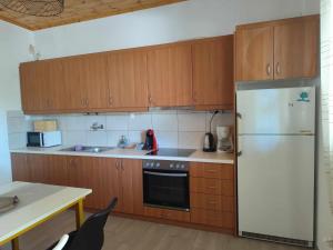 a kitchen with wooden cabinets and a refrigerator at Catherine's Studio in Monódhrion