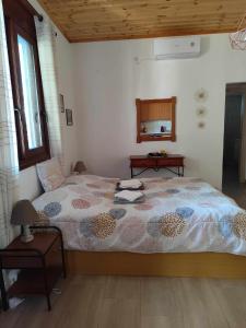 a bedroom with a bed and a table and a mirror at Catherine's Studio in Monódhrion +3 photos