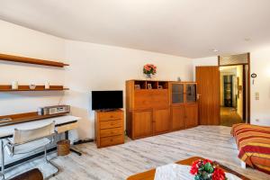 TV a/nebo společenská místnost v ubytování Ferienwohnung Weitblick