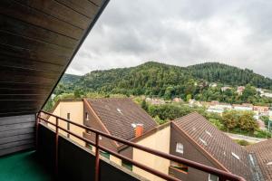 Nespecifikovaný výhled na hory nebo výhled na hory při pohledu z apartmánu