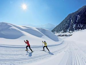 Apartment in Ötztal near Ski Slopes v zime
