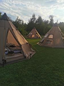 Fotografie z fotogalerie ubytování Privat Glamping Spielberg v destinaci Spielberg