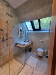 ein Badezimmer mit Glasdusche und Toilette in der Unterkunft Weiherhof Cottage in Radolfzell am Bodensee