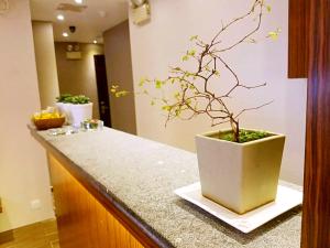 Φωτογραφία από το άλμπουμ του 香港金門賓館 KamMun Guest House στο Χονγκ Κονγκ