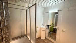 Koupelna v ubytování Design Penthouse - 4SZ - 2Bäder - Whirlpool - 2 Parkplätze - Dachterrasse + 43 fotografií