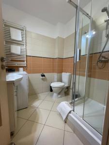 a bathroom with a toilet and a shower and a sink at Apartment in the Villa Northern Dreams #3 PARKING INCLUDED IN PRICE in Timişoara +3 photos