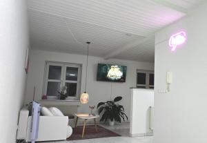 un soggiorno con un divano e una TV a parete di HAPPY HOMES PINK - Up to 5 - Küche - W-LAN - Netflix - Honig - Badewanne a Nidda