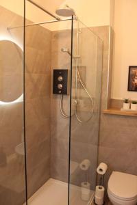 丁沃尔One bedroom Flat in Dingwall的浴室里带马桶的淋浴间