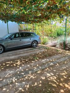 Fotografie z fotogalerie ubytování Levak Apartments - Apt.3 v destinaci Pješčana Uvala