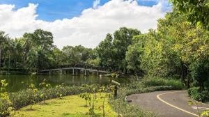 バンコクにあるThe rabbit's hole hostelの水の流れる公園内の小道