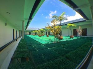 Bazén v ubytování Cindy Kelly Hotel nebo v jeho okolí