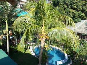 Bazén v ubytování Dolphinbay Beachfront & Dive Resort nebo v jeho okolí + 31 fotografií