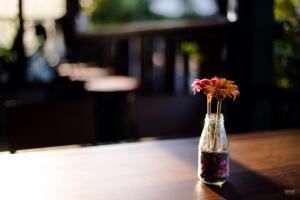 Drinks på Sunday J Resort & Restaurant