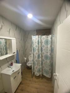a bathroom with a shower and a sink and a toilet at Apartmani Kostić  +27 photos