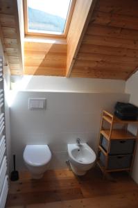 a bathroom with a toilet and a sink and a window at Appartement Anna Ali in Bad Kleinkirchheim +23 photos