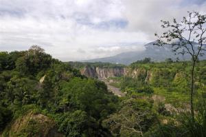 a view of a canyon with trees and mountains at Hotel Benteng in Bukittinggi