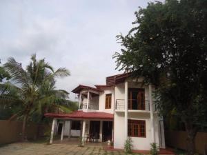 a white house with a palm tree in front of it at Seven Flowers Hotel in Anuradhapura