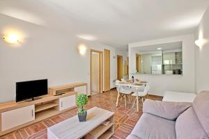 TV a/nebo společenská místnost v ubytování Ski Apartments El Tarter